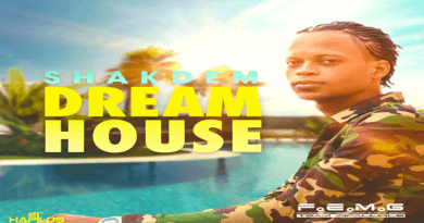 DREAM HOUSE Shakdem