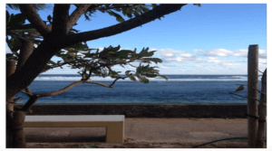 Télécharge Mix carnaval des antilles