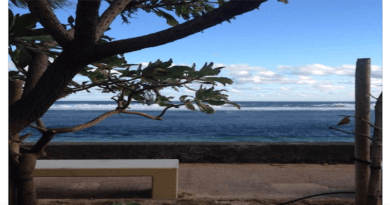 Télécharge Mix carnaval des antilles