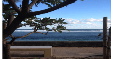 Zouk rétro 90 - Dj_NONO sauce gingembre