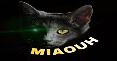 Miaouh By Saïk, Shatta 2022