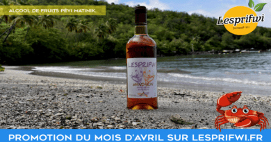 Découverte / Agenda