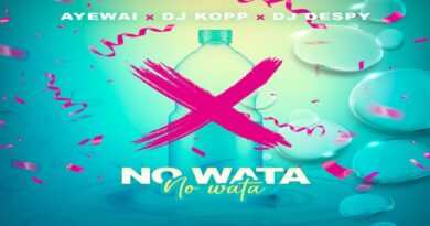 No wata - Ayewai, Dj Kopp & Dj Despy, Bouyon 2023