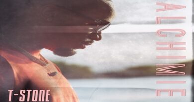 Alchimie - T-Stone, Afrobeats 2024